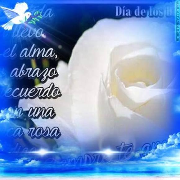 jacquelinehe571